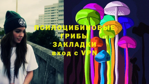 ешки Алексин