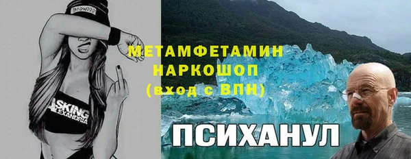 ешки Алексин